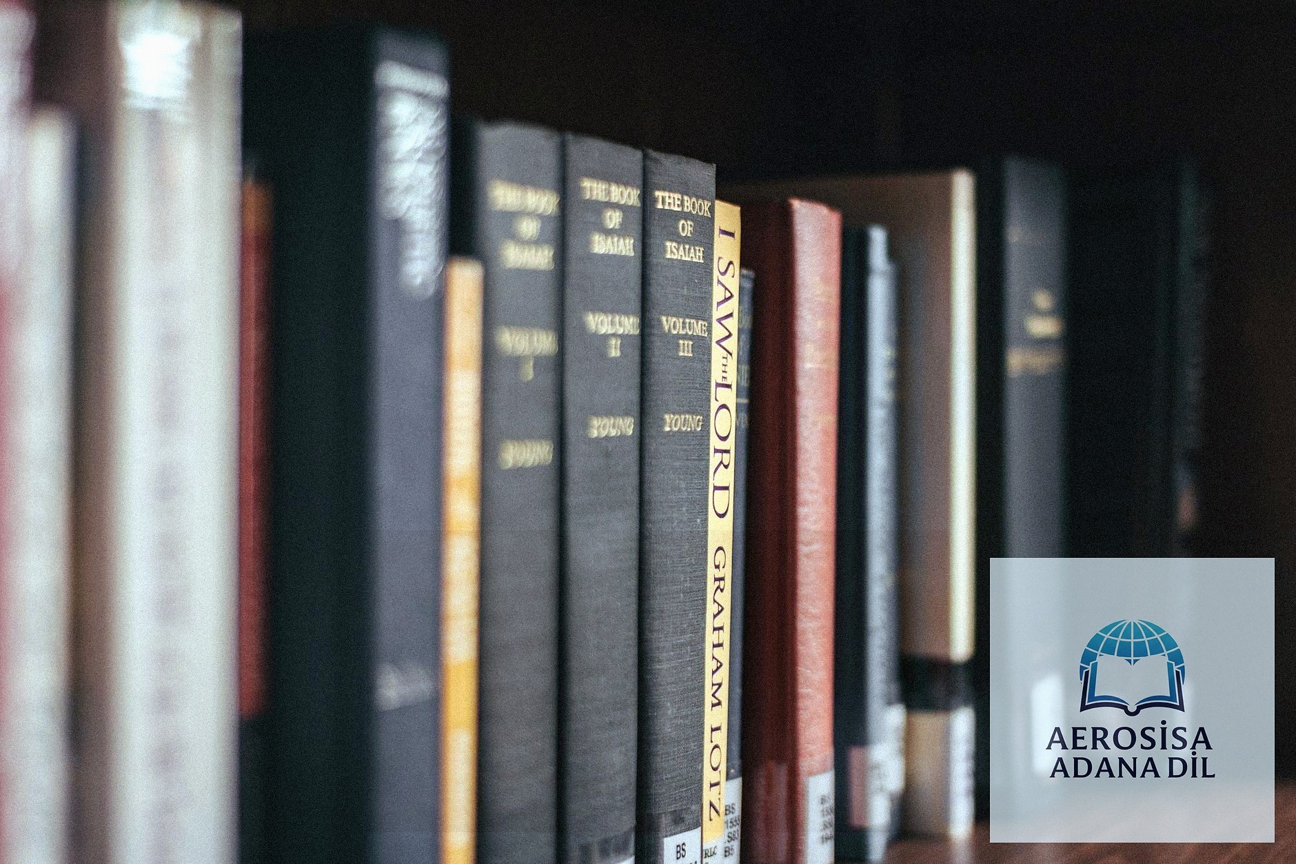 Kurumsal Dil Eğitimleri