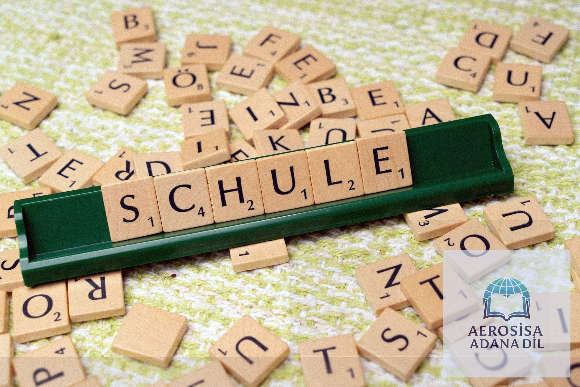 Genel İngilizce Kursları